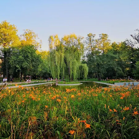 Basic, Quiet Close To Main Square Cracovia